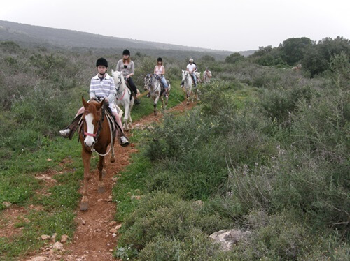חוות מונפורטויטו
